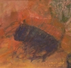 Bull.