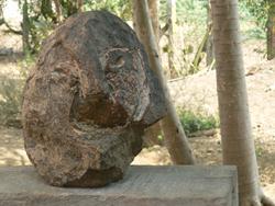 Heads